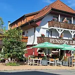 Linde Höchenschwand