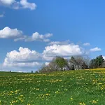 Linde Höchenschwand