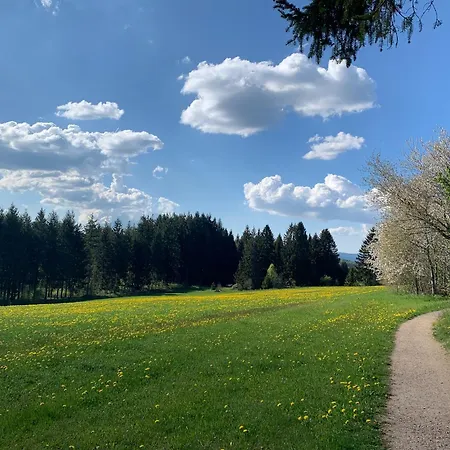 Linde Höchenschwand