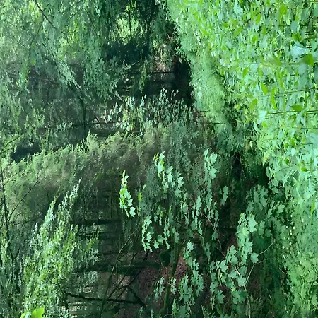 Linde 게스트하우스 3*