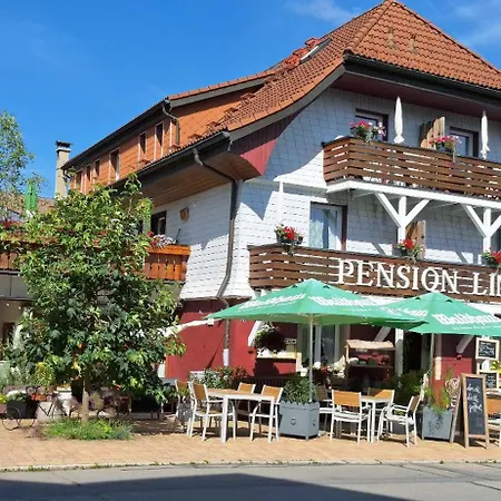 게스트하우스 Linde 호헨스반트