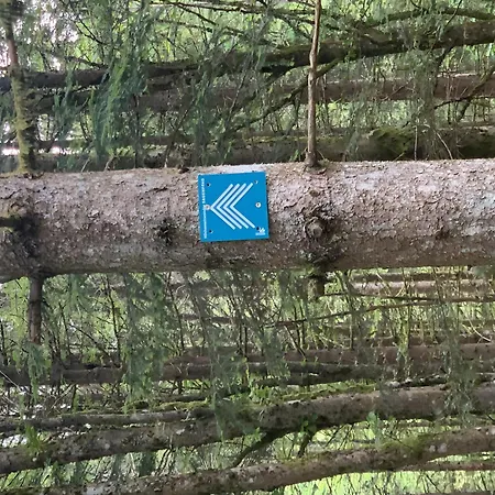 게스트하우스 Linde