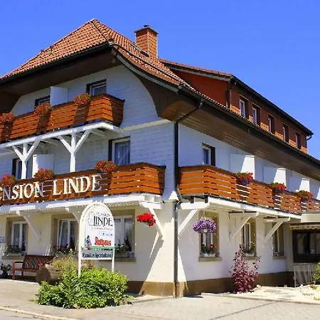 Linde * Hoechenschwand