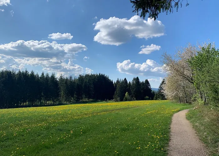 Linde Höchenschwand