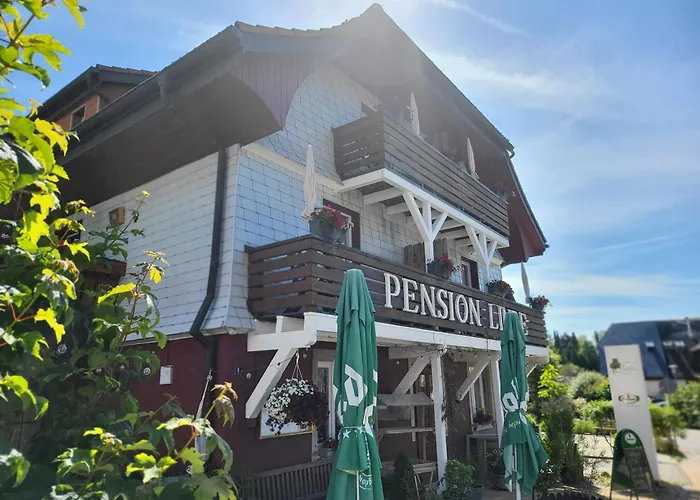 Linde 3* Höchenschwand